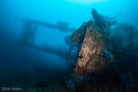 The Lighthouse Wreck dive site off Malapascua