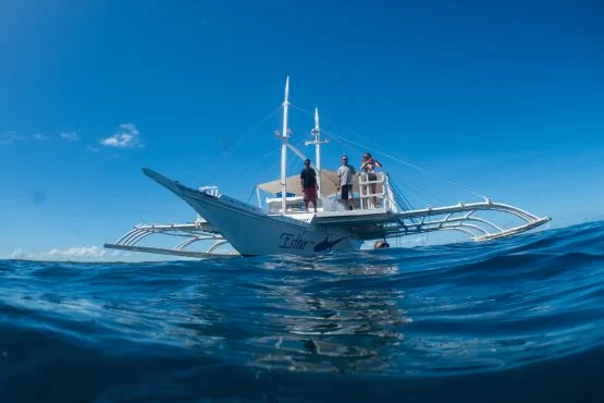 Diving at Gato Island marine sanctuary near Malapascua