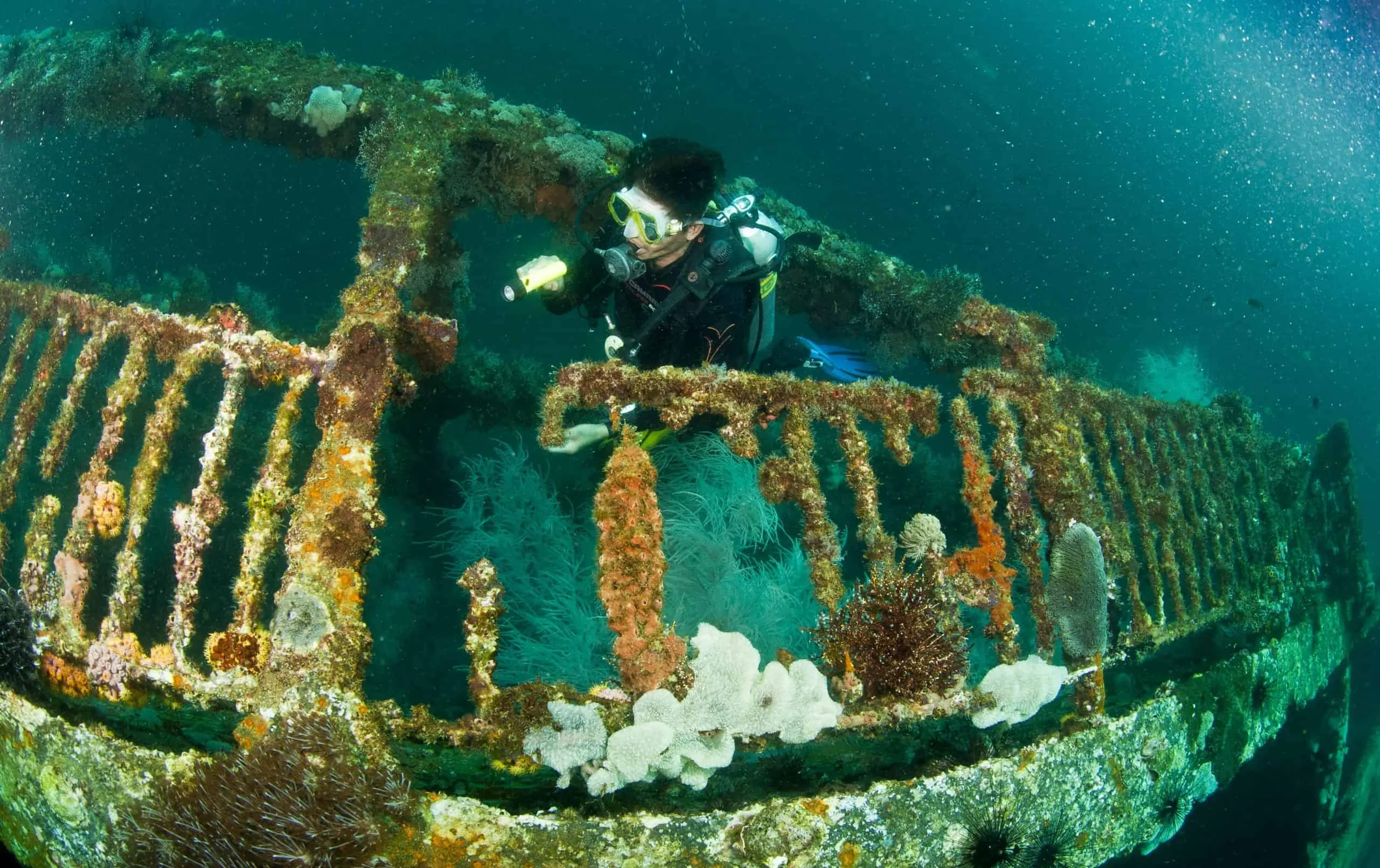 Wreck diving near Malapascua Island