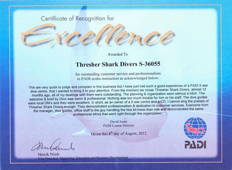 Certificate of Excellence TSD David June 2012