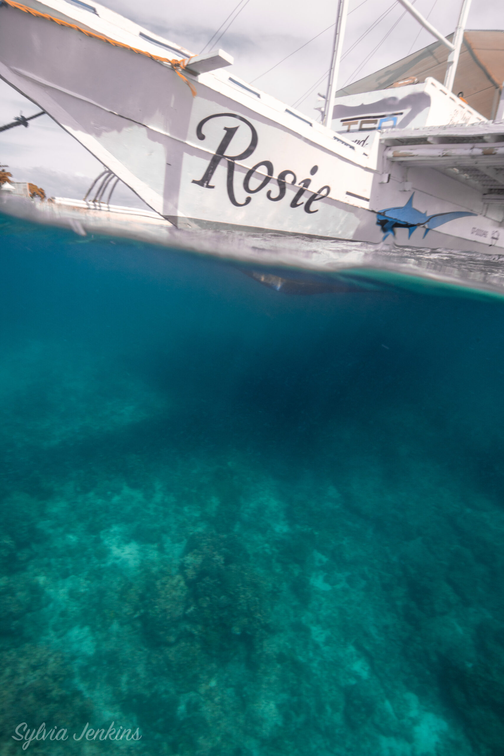 Tsd 27 - Thresher Shark Divers, Malapascua