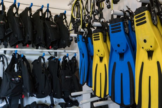 Diving Equipment Malapascua Thresher Shark Divers